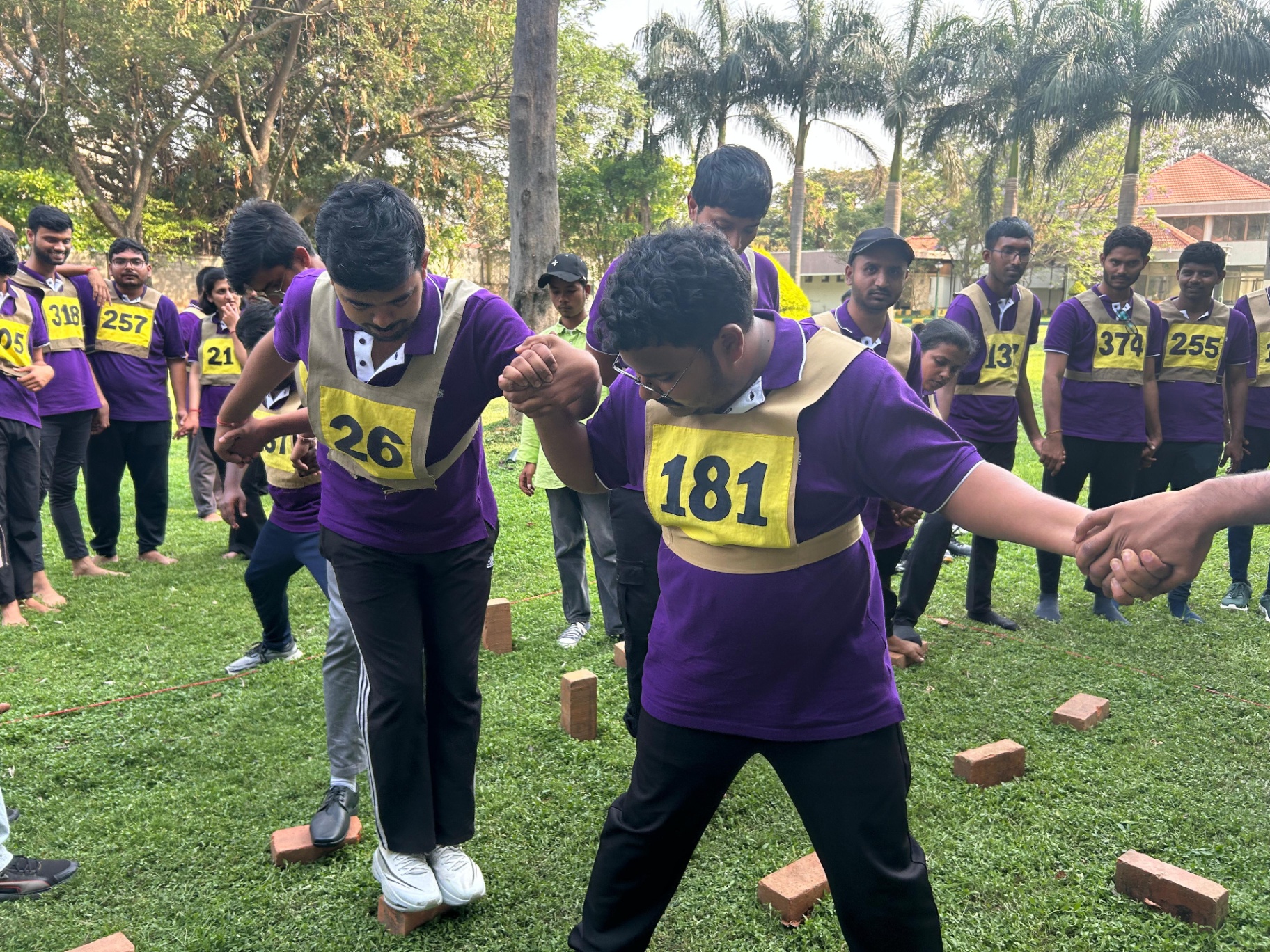 Crossing together - purple cohort